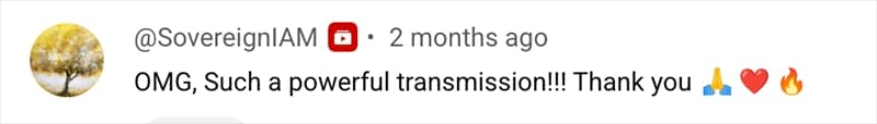 YouTube Comment Testimonial 2
